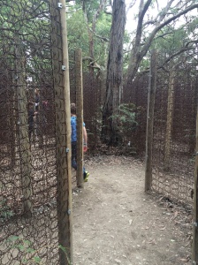 One of the Mazes at Enchanted Adventure Garden